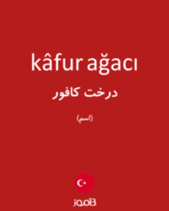  تصویر kâfur ağacı - دیکشنری انگلیسی بیاموز