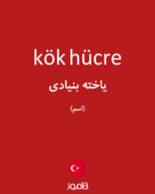  تصویر kök hücre - دیکشنری انگلیسی بیاموز