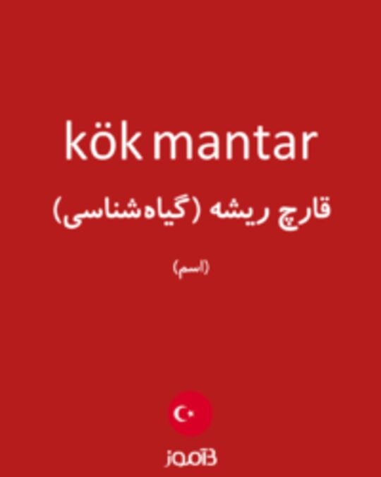  تصویر kök mantar - دیکشنری انگلیسی بیاموز