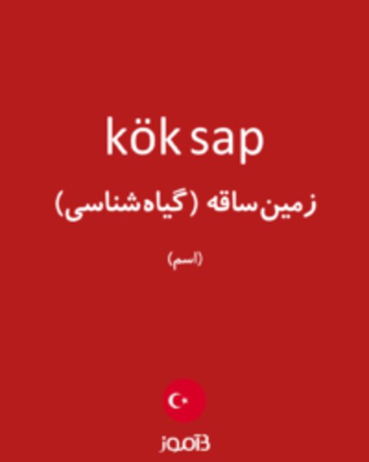  تصویر kök sap - دیکشنری انگلیسی بیاموز