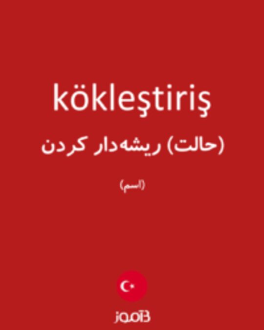  تصویر kökleştiriş - دیکشنری انگلیسی بیاموز