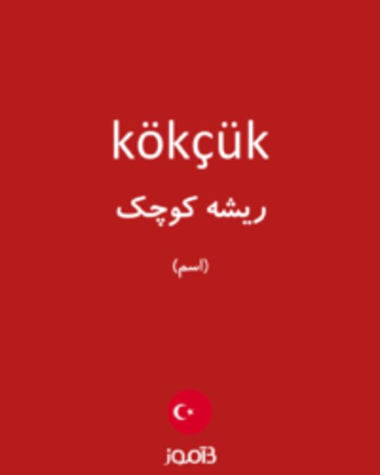  تصویر kökçük - دیکشنری انگلیسی بیاموز