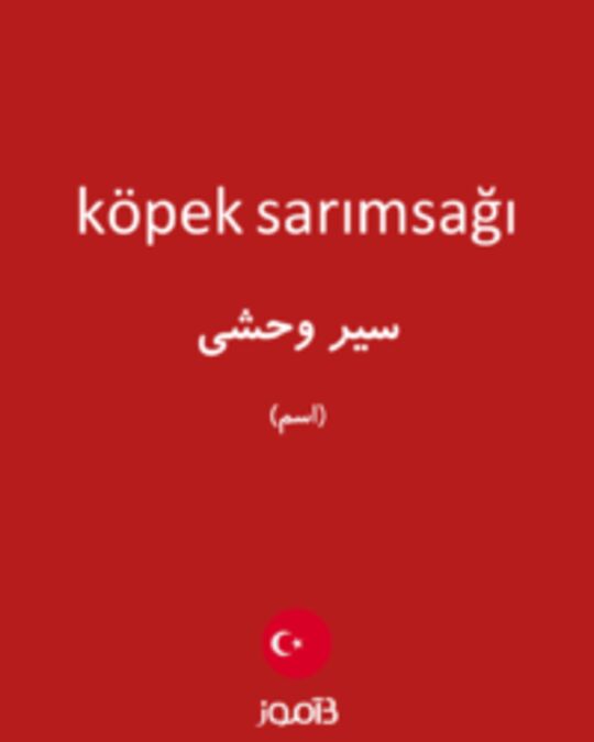  تصویر köpek sarımsağı - دیکشنری انگلیسی بیاموز