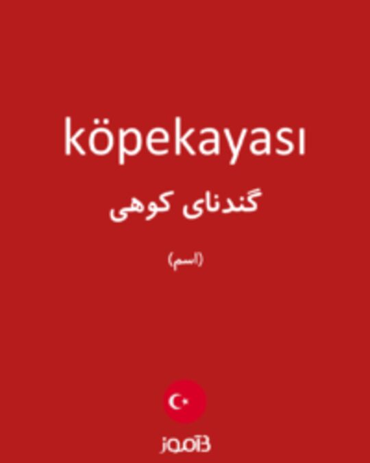  تصویر köpekayası - دیکشنری انگلیسی بیاموز