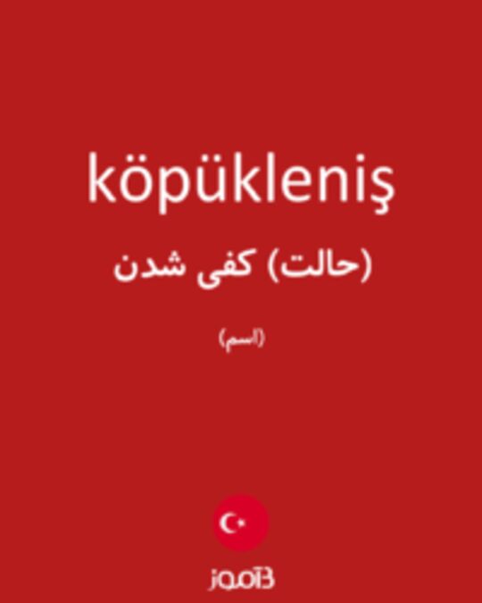  تصویر köpükleniş - دیکشنری انگلیسی بیاموز