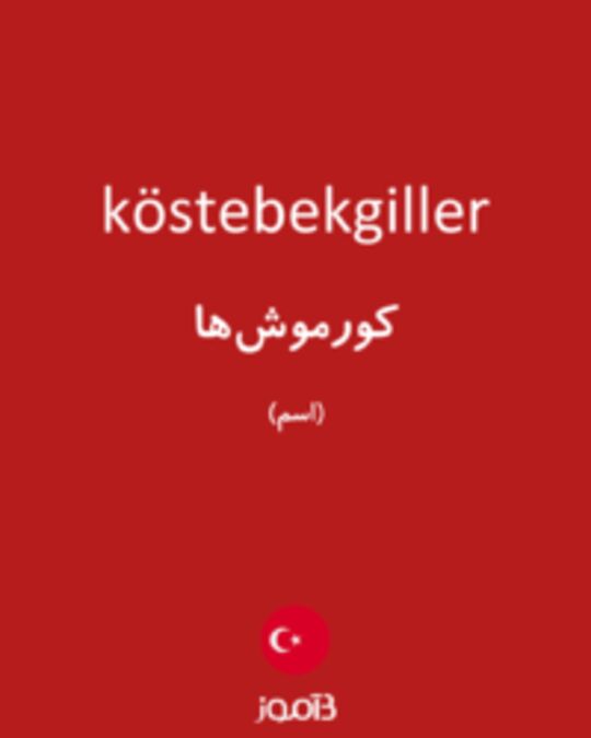  تصویر köstebekgiller - دیکشنری انگلیسی بیاموز