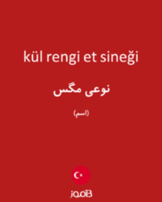  تصویر kül rengi et sineği - دیکشنری انگلیسی بیاموز