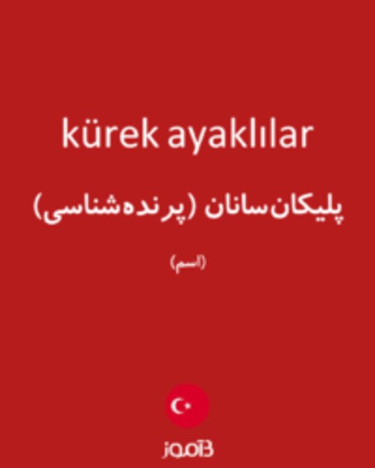  تصویر kürek ayaklılar - دیکشنری انگلیسی بیاموز