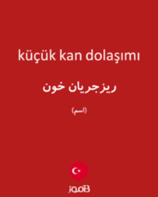  تصویر küçük kan dolaşımı - دیکشنری انگلیسی بیاموز