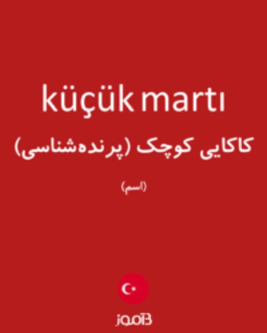  تصویر küçük martı - دیکشنری انگلیسی بیاموز