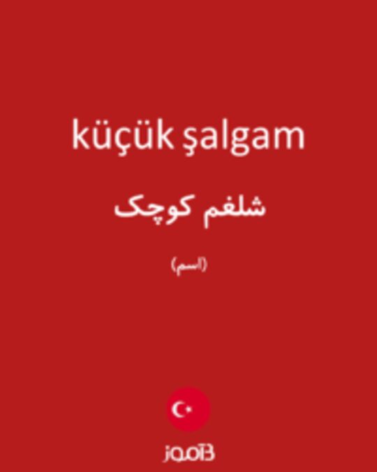  تصویر küçük şalgam - دیکشنری انگلیسی بیاموز