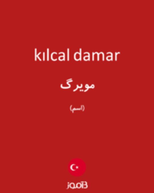  تصویر kılcal damar - دیکشنری انگلیسی بیاموز