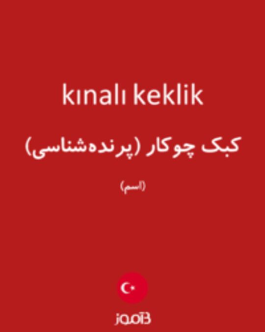  تصویر kınalı keklik - دیکشنری انگلیسی بیاموز