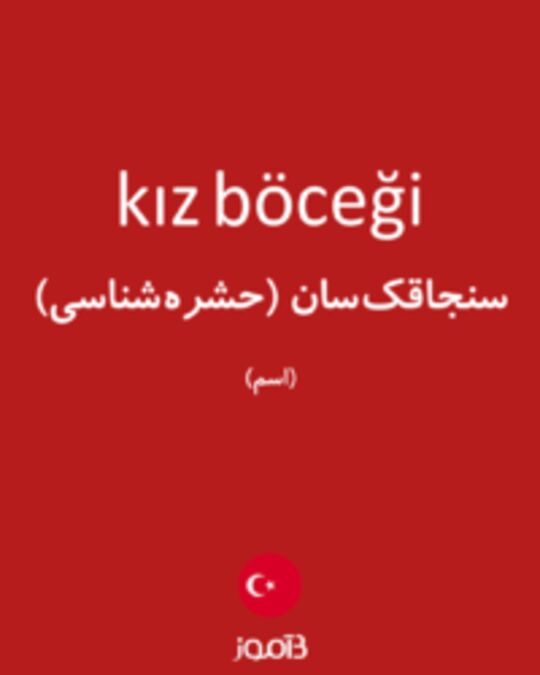  تصویر kız böceği - دیکشنری انگلیسی بیاموز