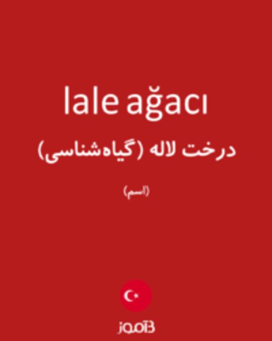  تصویر lale ağacı - دیکشنری انگلیسی بیاموز