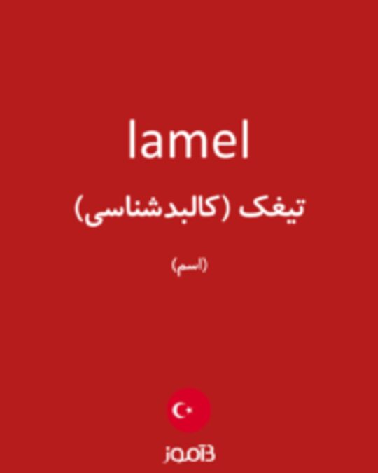  تصویر lamel - دیکشنری انگلیسی بیاموز