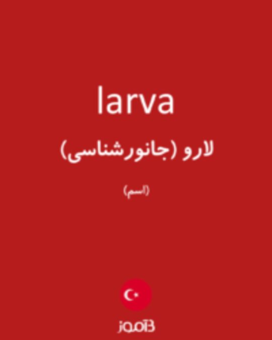  تصویر larva - دیکشنری انگلیسی بیاموز