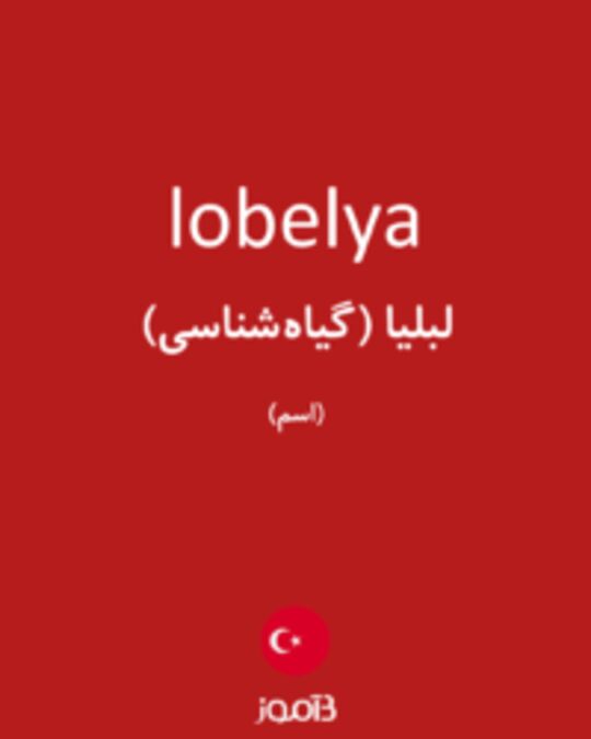  تصویر lobelya - دیکشنری انگلیسی بیاموز