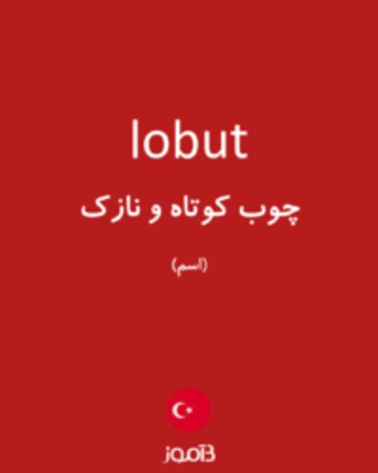  تصویر lobut - دیکشنری انگلیسی بیاموز