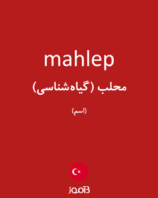  تصویر mahlep - دیکشنری انگلیسی بیاموز