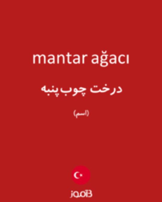  تصویر mantar ağacı - دیکشنری انگلیسی بیاموز