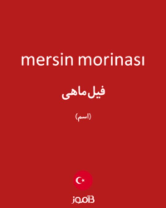  تصویر mersin morinası - دیکشنری انگلیسی بیاموز