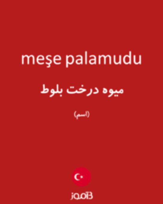  تصویر meşe palamudu - دیکشنری انگلیسی بیاموز
