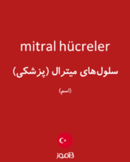  تصویر mitral hücreler - دیکشنری انگلیسی بیاموز