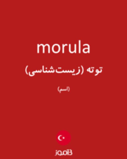  تصویر morula - دیکشنری انگلیسی بیاموز