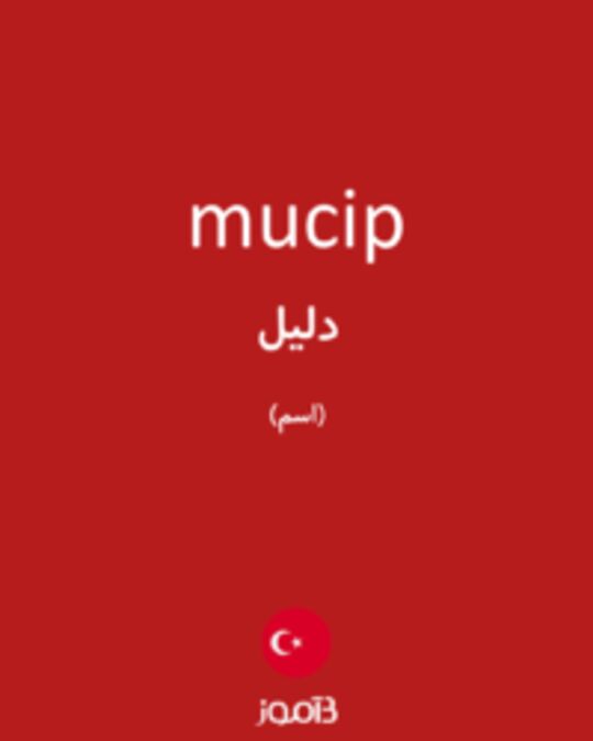  تصویر mucip - دیکشنری انگلیسی بیاموز