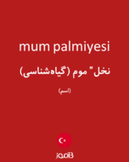  تصویر mum palmiyesi - دیکشنری انگلیسی بیاموز