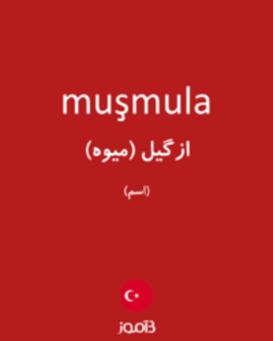  تصویر muşmula - دیکشنری انگلیسی بیاموز