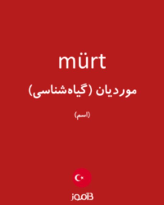  تصویر mürt - دیکشنری انگلیسی بیاموز