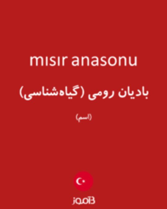  تصویر mısır anasonu - دیکشنری انگلیسی بیاموز