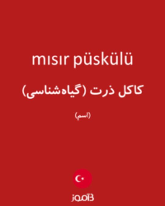  تصویر mısır püskülü - دیکشنری انگلیسی بیاموز