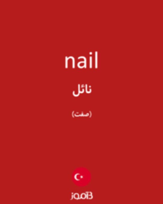  تصویر nail - دیکشنری انگلیسی بیاموز