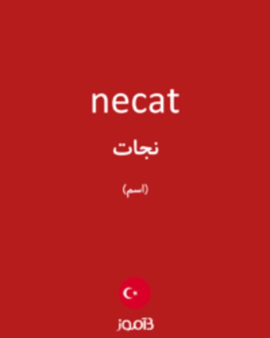  تصویر necat - دیکشنری انگلیسی بیاموز