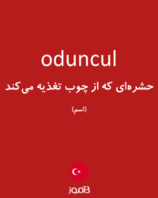  تصویر oduncul - دیکشنری انگلیسی بیاموز