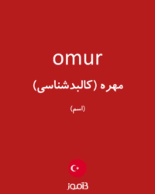  تصویر omur - دیکشنری انگلیسی بیاموز