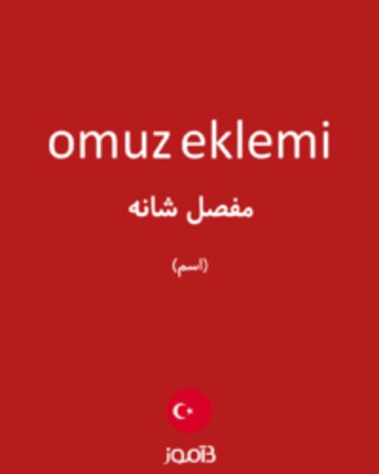  تصویر omuz eklemi - دیکشنری انگلیسی بیاموز