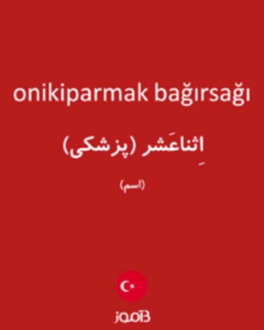  تصویر onikiparmak bağırsağı - دیکشنری انگلیسی بیاموز