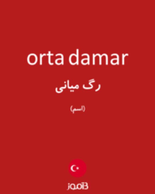  تصویر orta damar - دیکشنری انگلیسی بیاموز