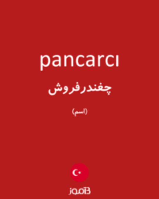  تصویر pancarcı - دیکشنری انگلیسی بیاموز