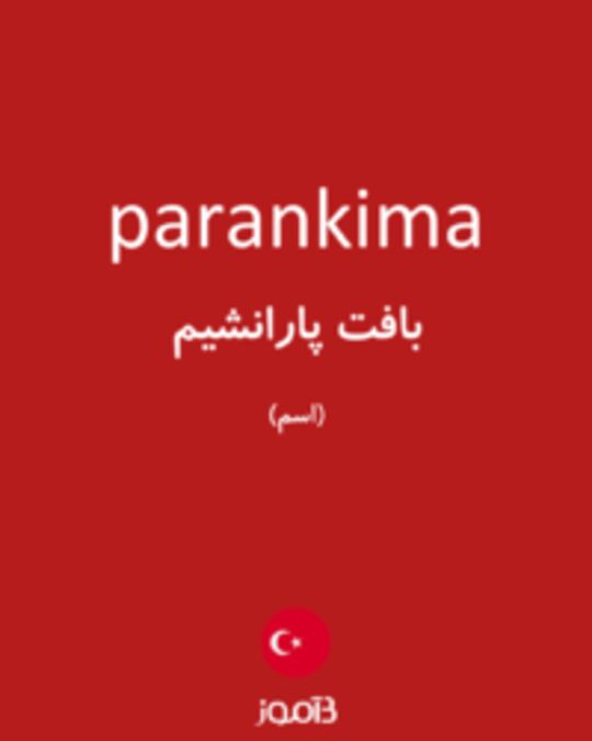  تصویر parankima - دیکشنری انگلیسی بیاموز