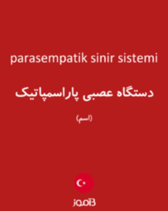  تصویر parasempatik sinir sistemi - دیکشنری انگلیسی بیاموز