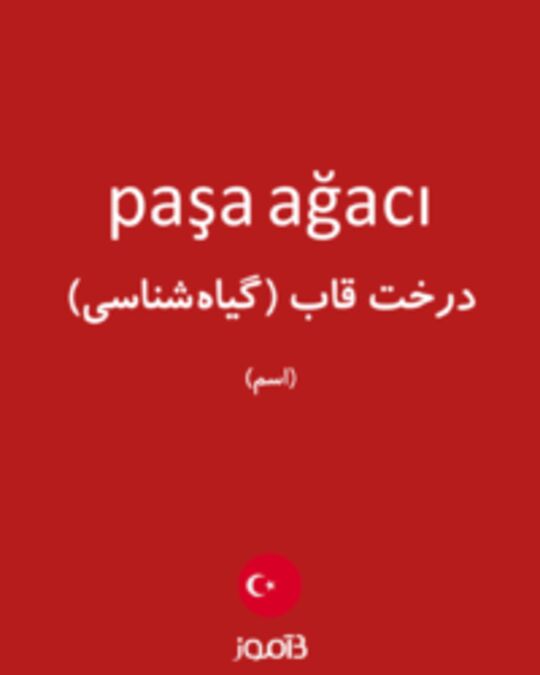  تصویر paşa ağacı - دیکشنری انگلیسی بیاموز