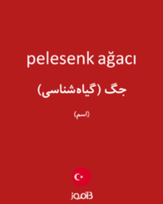  تصویر pelesenk ağacı - دیکشنری انگلیسی بیاموز