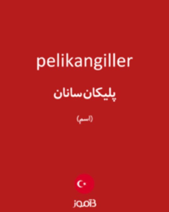  تصویر pelikangiller - دیکشنری انگلیسی بیاموز