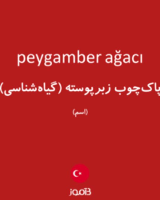  تصویر peygamber ağacı - دیکشنری انگلیسی بیاموز