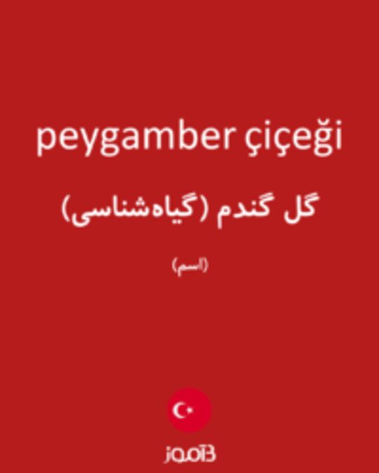  تصویر peygamber çiçeği - دیکشنری انگلیسی بیاموز